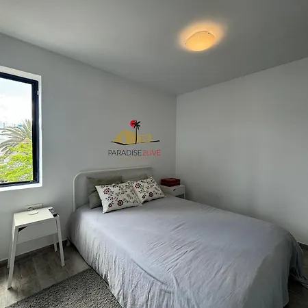 Hibiscus * Corralejo